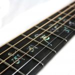 Custom Inlays in fretboard