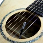 Internal soundhole mic