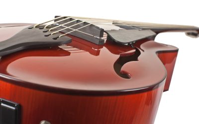Build Your Own 5 String Archtop Fretless Bass