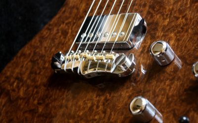 Build Your Own Custom Guitar – BYO-316 – Peter Irvine