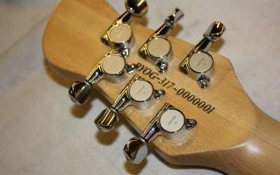 Build Your Own First Guitar – BYO-317 – Paul Hagan