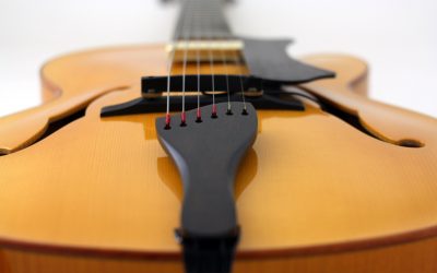 Build your own custom guitar- Archtop Dave
