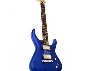 ParkFest 2012 -the RNLI prize guitar