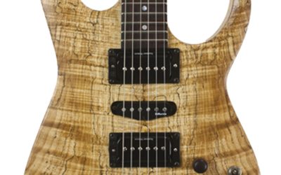 Build Your Own Custom Guitar – Phil – BYO – 309
