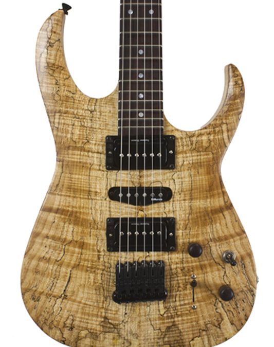 Build Your Own Custom Guitar – Phil – BYO – 309