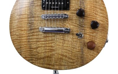Build Your Own Custom Guitar – Charlie – BYO – 308