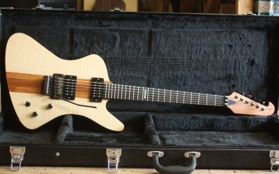 Build Your Own Custom Guitar – BYO-313 – Peter Harper