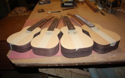 Build Your Own Uke – Part 1