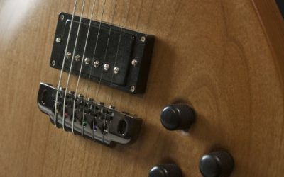 Build Your Own Guitar – BYO 350 – Doug Parry