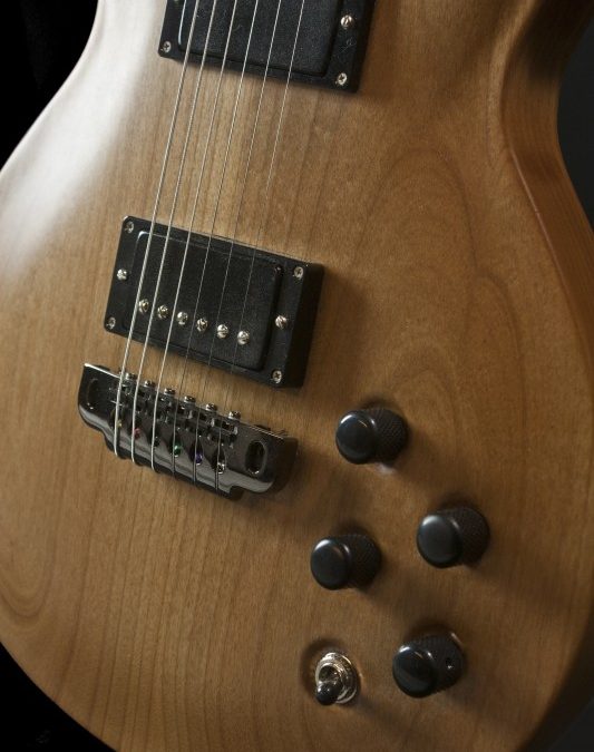 Build Your Own Guitar – BYO 350 – Doug Parry