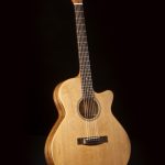 Bailey Moonshiner Standard acoustic guitar
