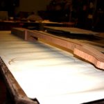 The neck is rough cut