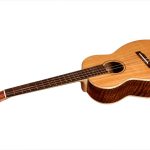 bailey baritone uke long scale