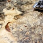 Buckeye Burl - close up