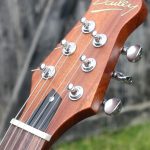 Bailey Headstock with Gold Logo