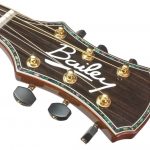 Preston Reed Signature Baritone Guitar - Headstock