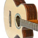 Preston Reed Signature Baritone Guitar - with cutaway