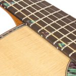 Preston Reed Signature Baritone Guitar - Heathergem Fretboard Inlays