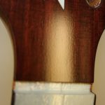 ...the first coat sinks into the grain as is dries, which is why rubbing and flatting are necessary