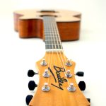 Bailey headstock logo