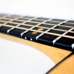 ebony fretboard