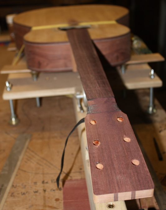 Bailey custom acoustic from 40,000 year old Kauri-p3