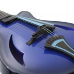 Possibly the most attractive guitar on the planet?
