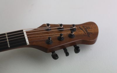 Acoustic Guitar made from Kew Walnut