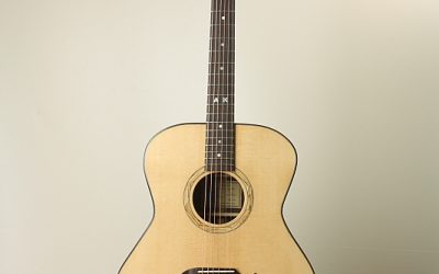 Build your own acoustic guitar – BYOA-016