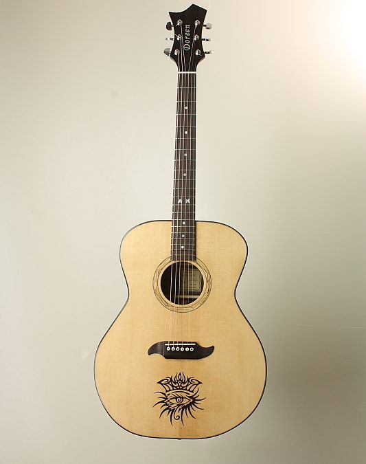 Build your own acoustic guitar – BYOA-016