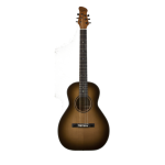 Bailey Camino Special acoustic guitar