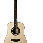 bailey acoustic big d custom