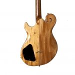 guitar with glued in neck