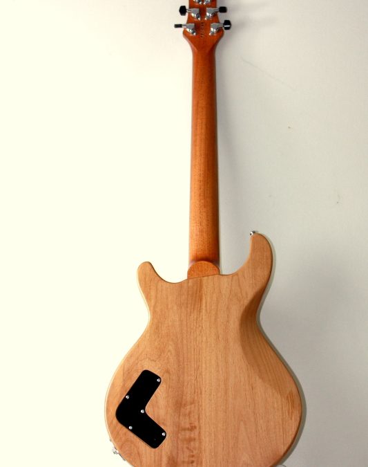 Build Your Own Custom Guitar – 27 Aug to 4 Sept – BYO-294