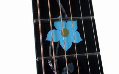 Build Your Own Acoustic Guitar – Moyra – BYOA – 017
