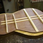 Three piece rosewood back