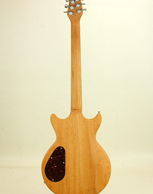 Build your own guitar – Shona – BYO 299