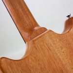 Set neck style construction