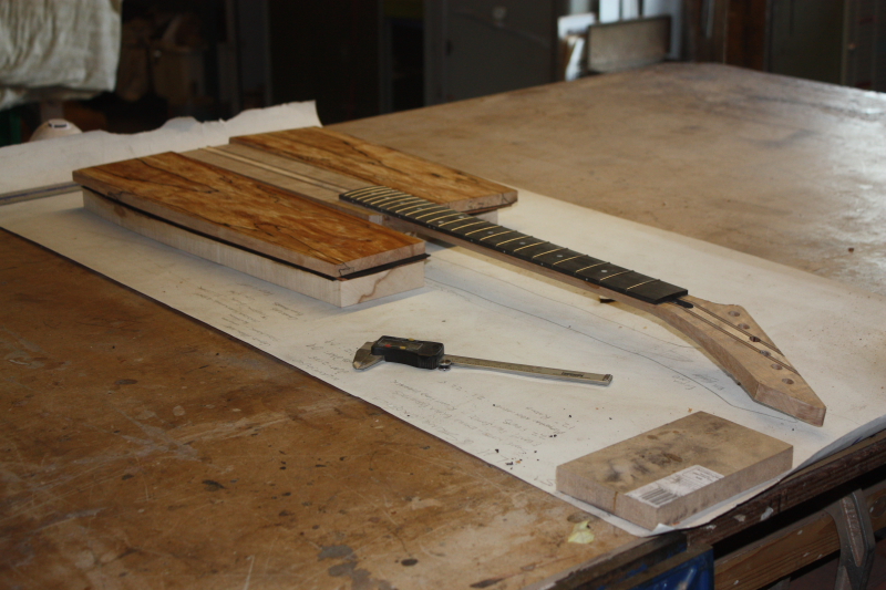 Bailey Custom Guitar Build – Part 1 – Exotica Left Handed